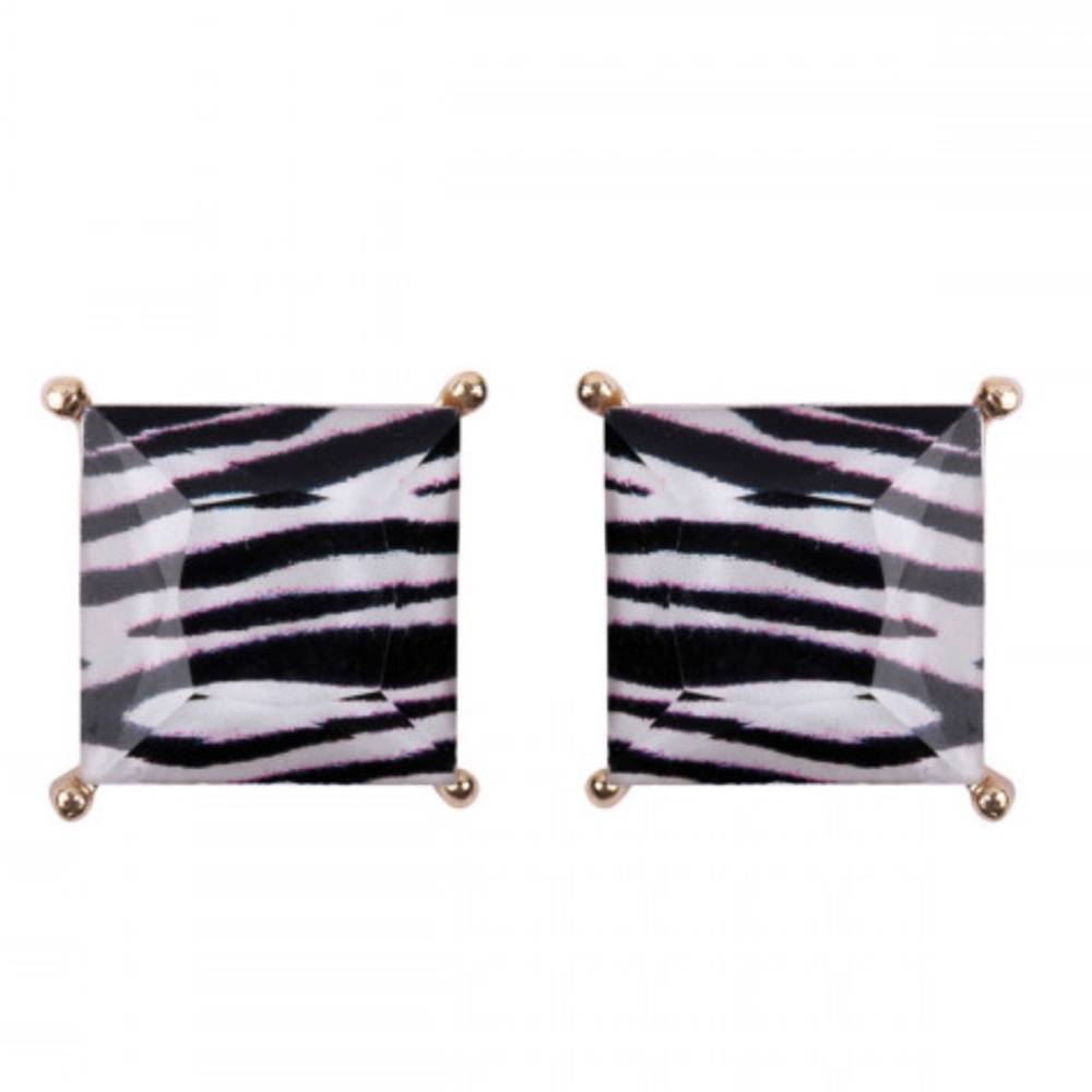 NWT Pretty Zebra Print Square Pierced Post Stud Earring…
